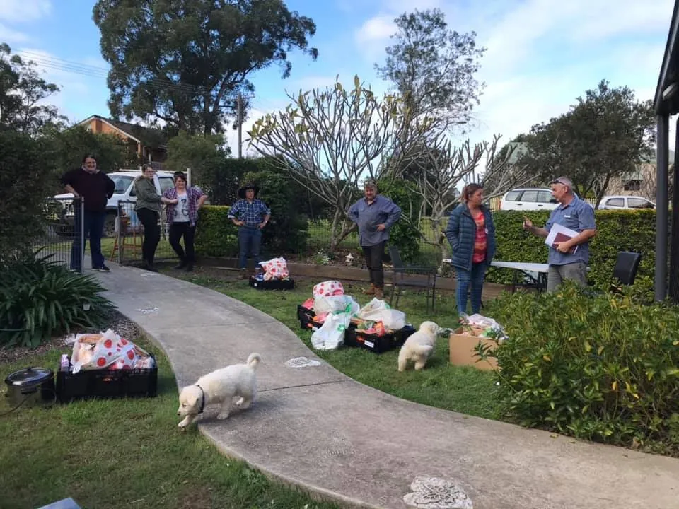 Volunteers and dogs at a food distribution in a garden